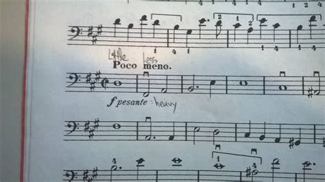 what does poco a poco mean in music and how does it reflect the evolution of musical notation?